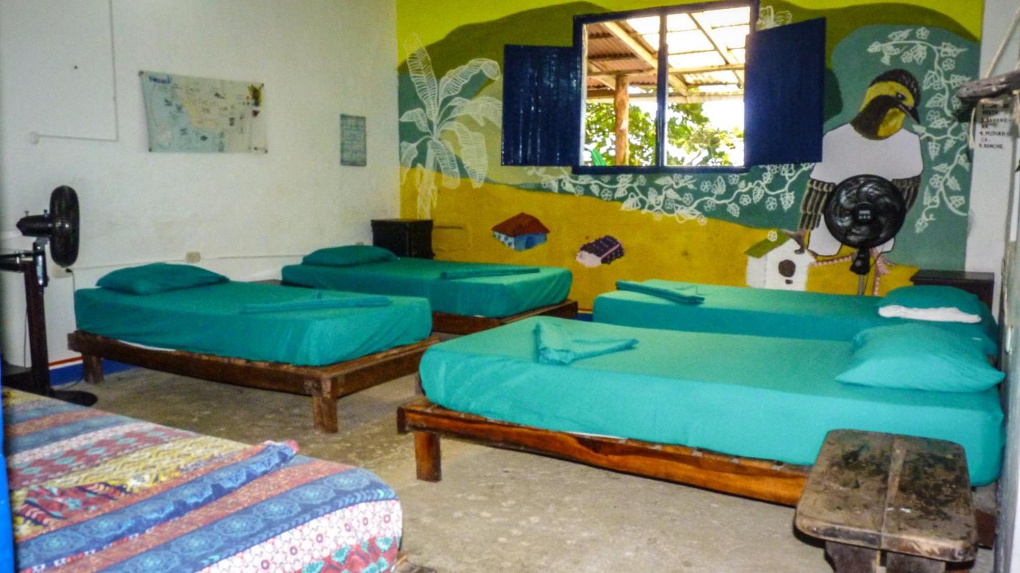 Hostal La Mariapolis Necoclí Exteriör bild